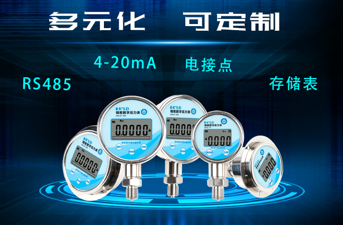 數字壓力表,數顯壓力表,標準壓力表,數字壓力計,精密壓力表