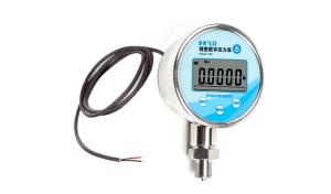精密壓力表
